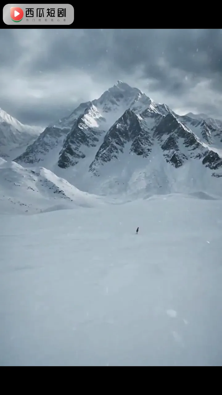 雪山救狐榨恩记